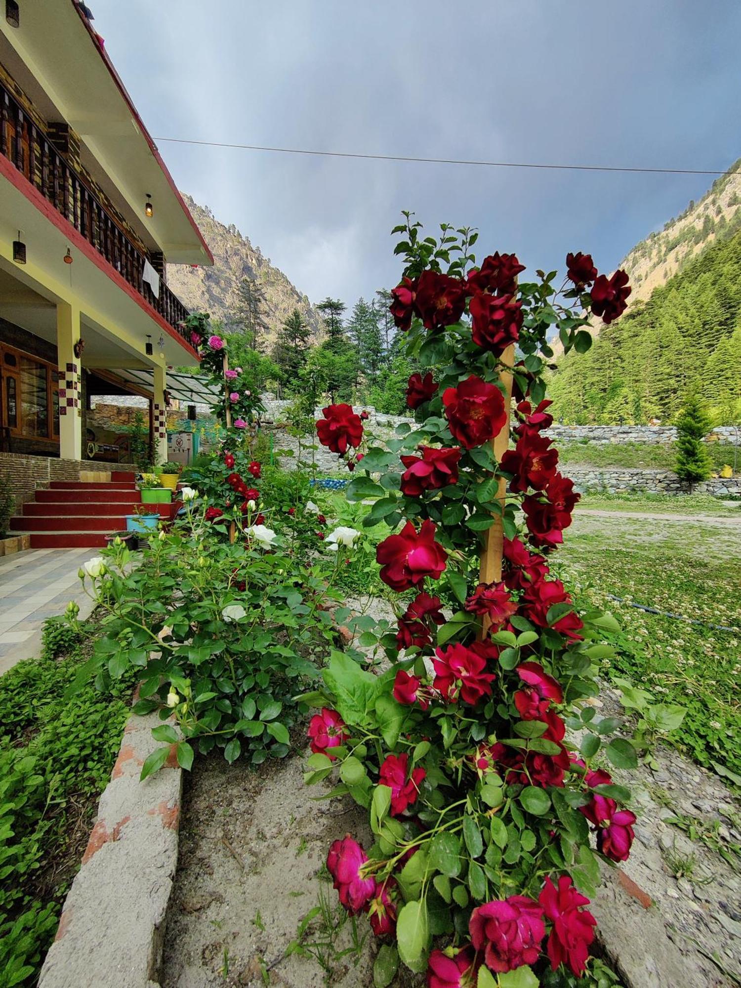 Отель Flipsyde Retreat Касоль Экстерьер фото